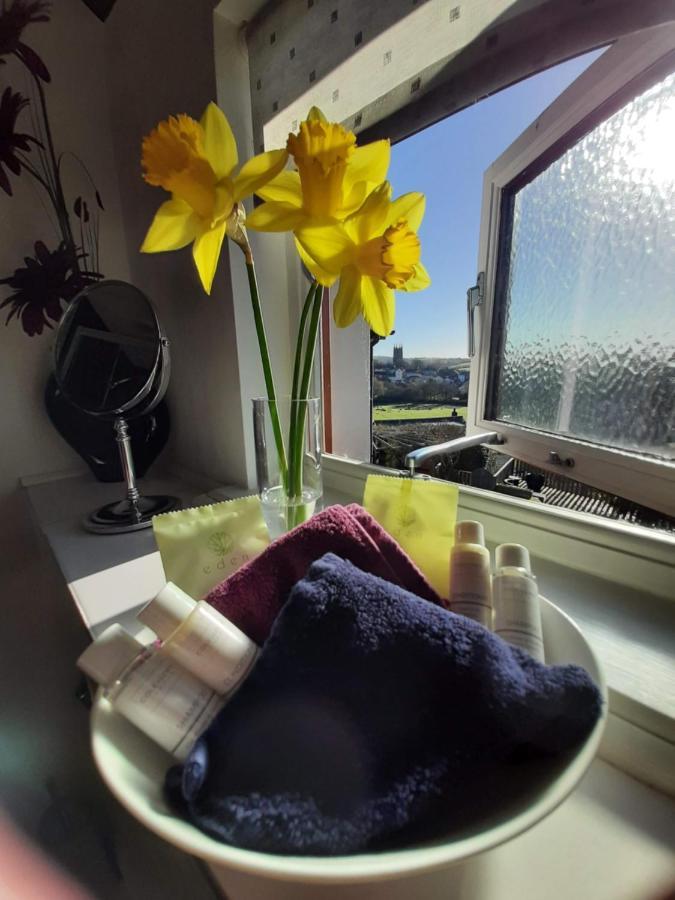 Oak Lodge B&B Bude Extérieur photo