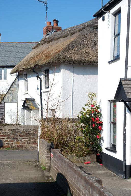 Oak Lodge B&B Bude Extérieur photo